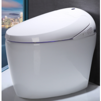 intelligent one piece toilet