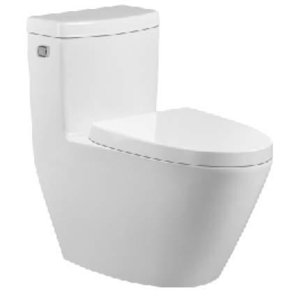 one piece toilet  RD2110