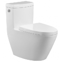 one piece toilet  RD2110