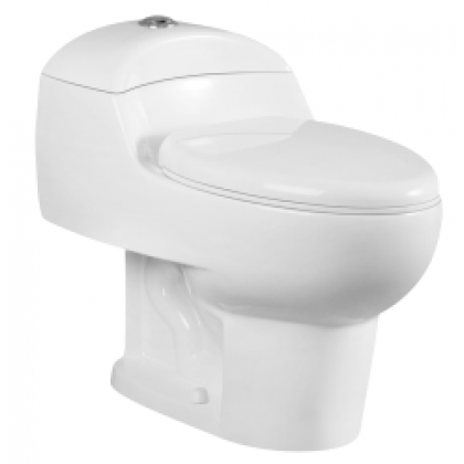 one piece toilet  RD2126