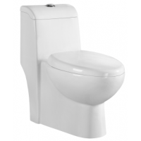 one piece toilet  RD2142