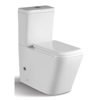 two piece toilet RD2220