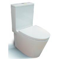 two piece toilet RD2221