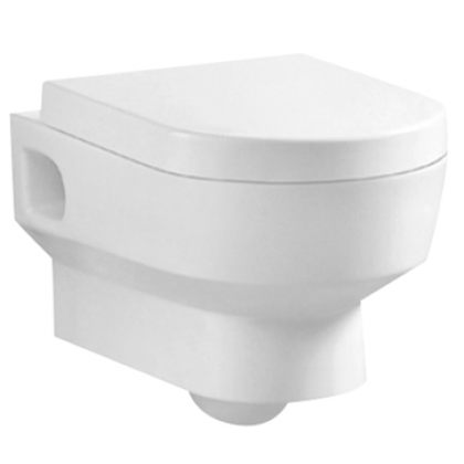 wall hung toilet RD2317