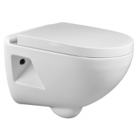 wall hung toilet RD2320