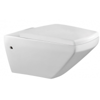 wall hung toilet RD2301