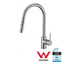 watermark kitchen faucet RD8209G